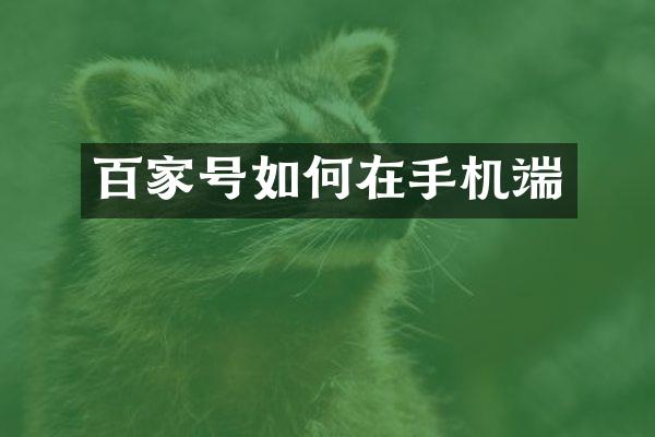 百家号如何在手机端