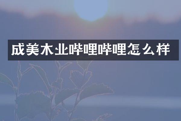 成美木业哔哩哔哩怎么样