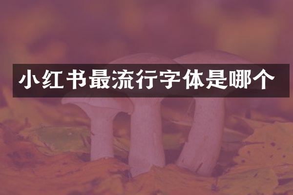 小红书最流行字体是哪个
