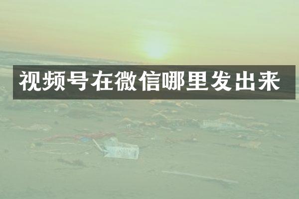 视频号在微信哪里发出来
