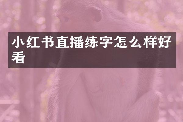 小红书直播练字怎么样好看