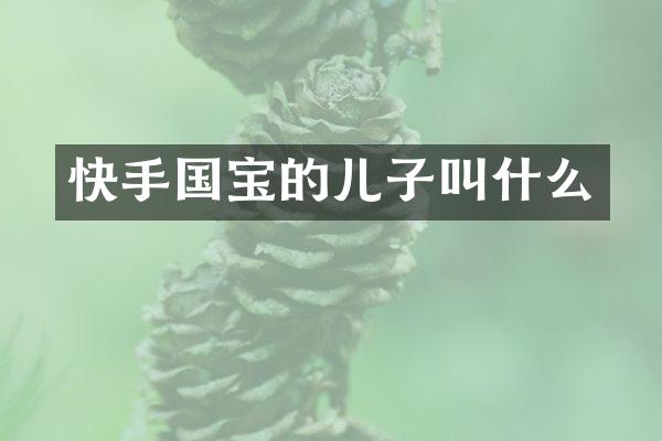 快手国宝的儿子叫什么