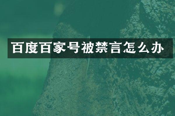 百度百家号被禁言怎么办