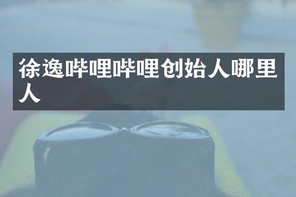 徐逸哔哩哔哩创始人哪里人