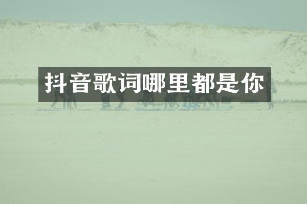 抖音歌词哪里都是你