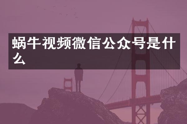 蜗牛视频微信公众号是什么