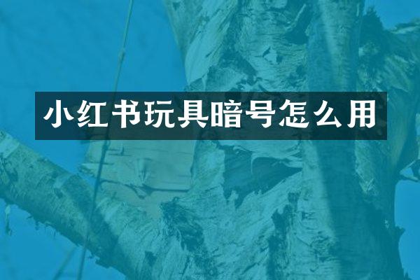 小红书玩具暗号怎么用