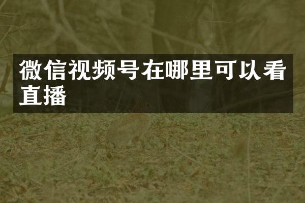 微信视频号在哪里可以看直播