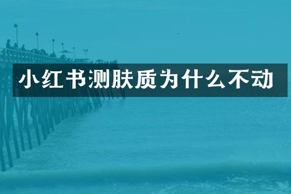 小红书测肤质为什么不动