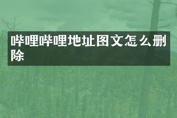 哔哩哔哩地址图文怎么删除