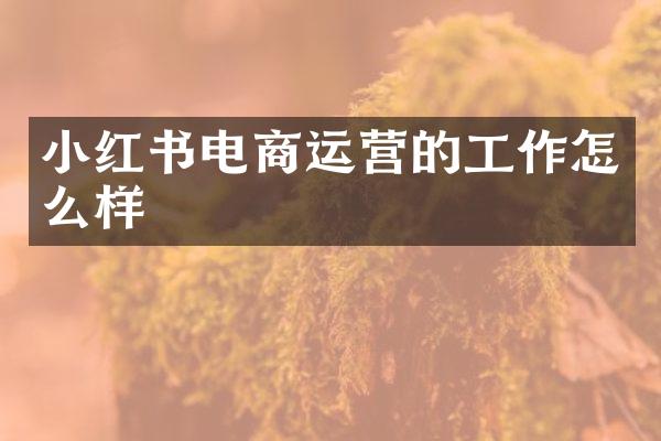 小红书电商运营的工作怎么样