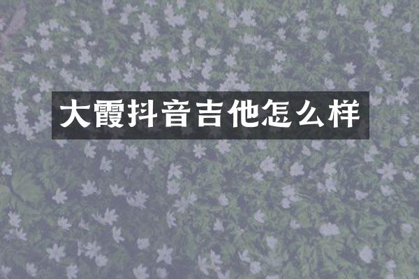 大霞抖音吉他怎么样