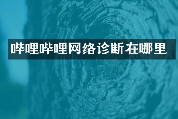 哔哩哔哩网络诊断在哪里