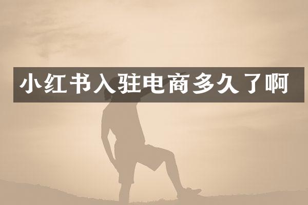 小红书入驻电商多久了啊