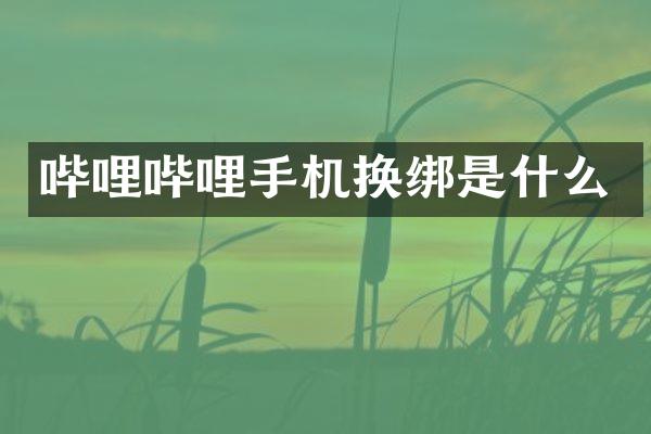 哔哩哔哩手机换绑是什么