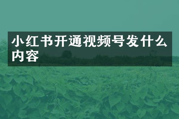 小红书开通视频号发什么内容