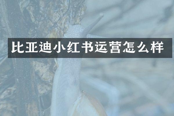 比亚迪小红书运营怎么样