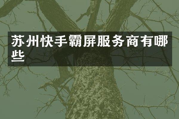 苏州快手霸屏服务商有哪些