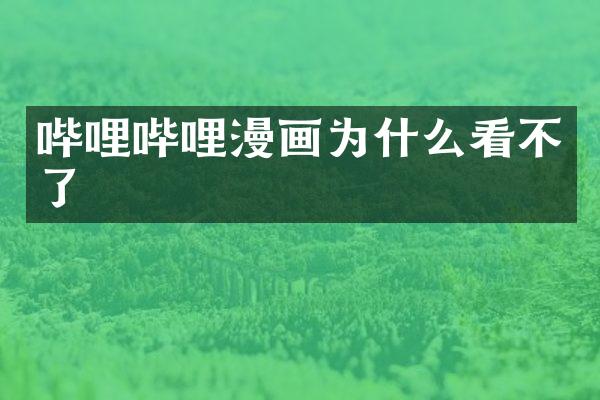 哔哩哔哩漫画为什么看不了