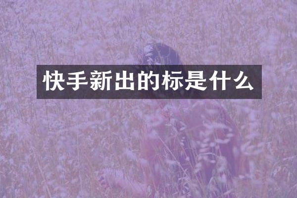 快手新出的标是什么