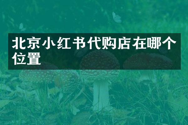 北京小红书代购店在哪个位置