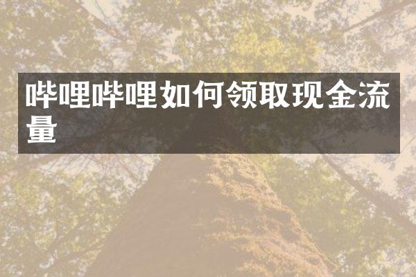 哔哩哔哩如何领取现金流量