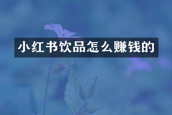 小红书饮品怎么赚钱的