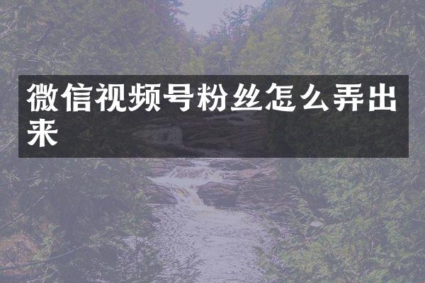 微信视频号粉丝怎么弄出来