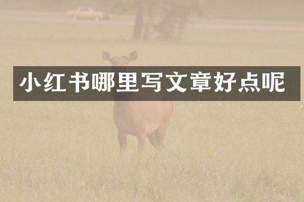 小红书哪里写文章好点呢