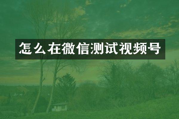 怎么在微信测试视频号