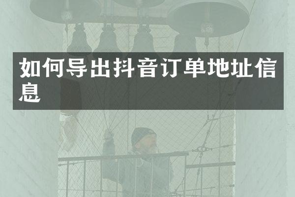 如何导出抖音订单地址信息