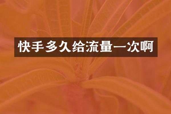 快手多久给流量一次啊