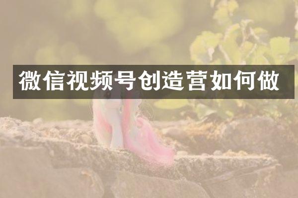 微信视频号创造营如何做