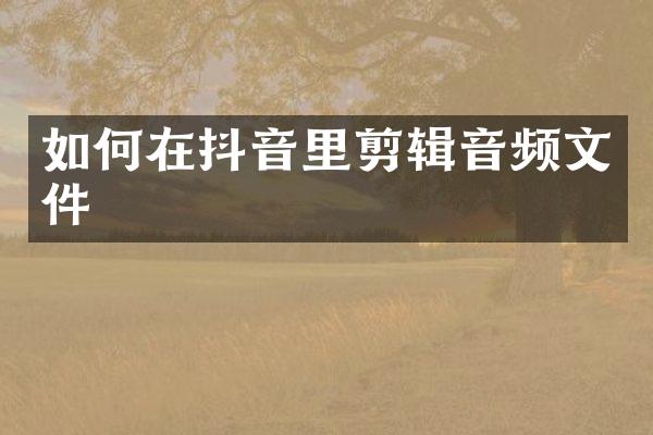 如何在抖音里剪辑音频文件