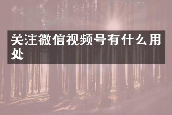 关注微信视频号有什么用处