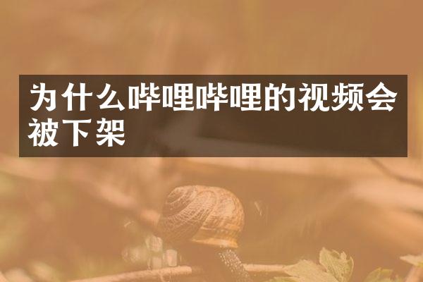 为什么哔哩哔哩的视频会被下架