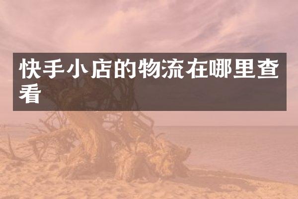 快手小店的物流在哪里查看