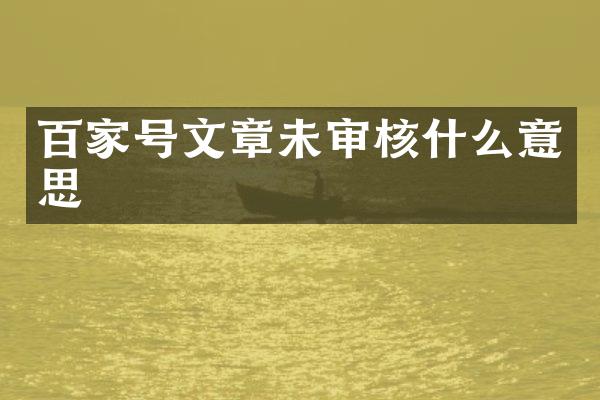 百家号文章未审核什么意思
