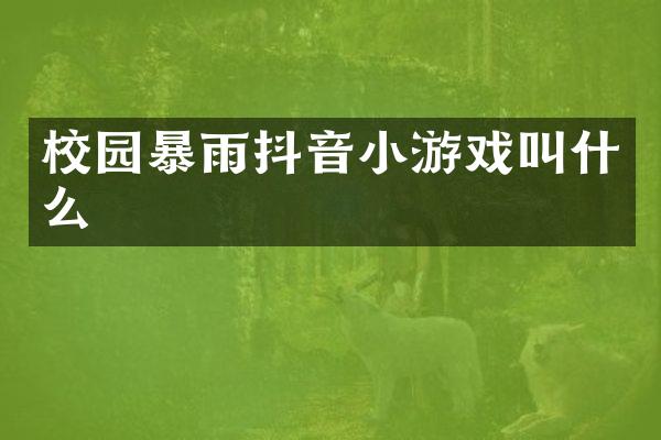 校园暴雨抖音小游戏叫什么