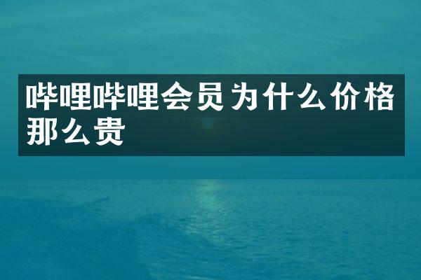 哔哩哔哩会员为什么价格那么贵