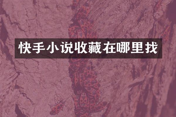 快手小说收藏在哪里找