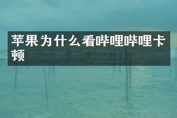 苹果为什么看哔哩哔哩卡顿