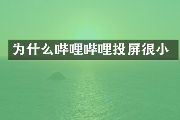 为什么哔哩哔哩投屏很小