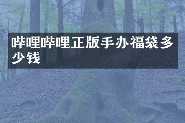 哔哩哔哩正版手办福袋多少钱