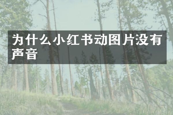 为什么小红书动图片没有声音