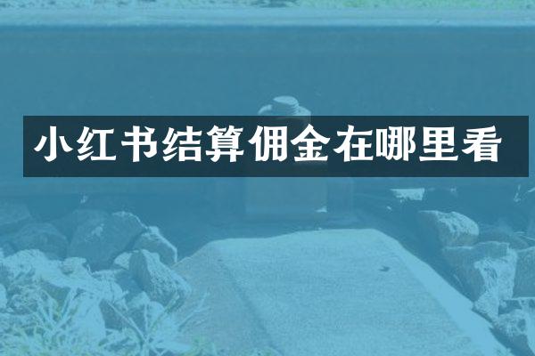 小红书结算佣金在哪里看