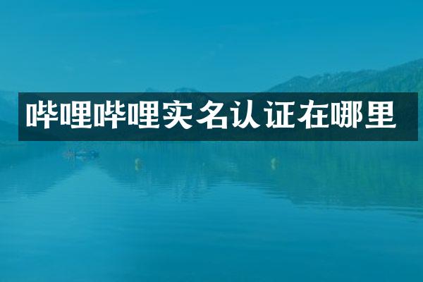 哔哩哔哩实名认证在哪里