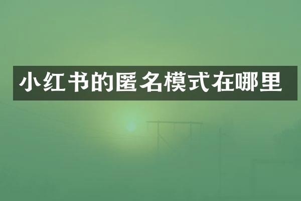 小红书的匿名模式在哪里