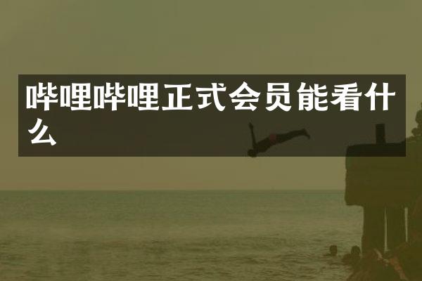 哔哩哔哩正式会员能看什么