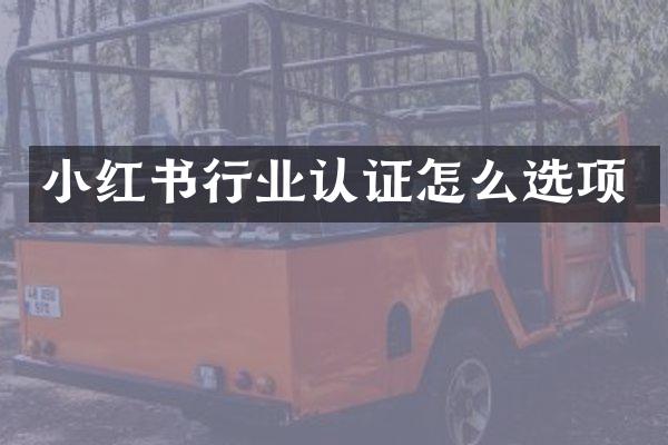 小红书行业认证怎么选项
